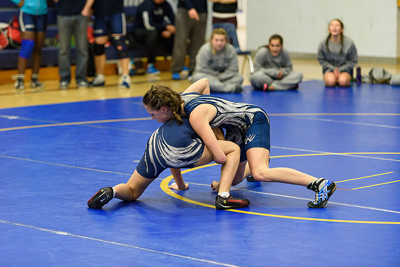 Wrestling DHS 011516-3-2103