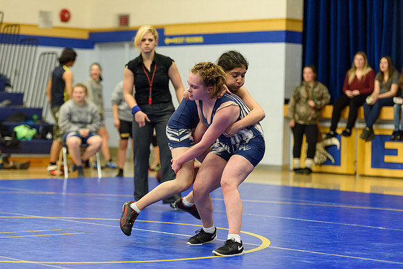 Wrestling DHS 011516-3-3288
