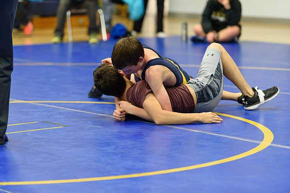 Wrestling DHS 011516-3-2816