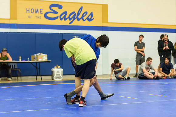 Wrestling DHS 011516-3-4078