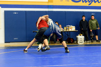 Wrestling DHS 011516-3-2993