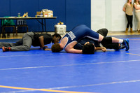 Wrestling DHS 011516-3-2485