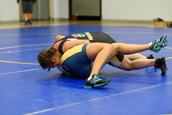 Wrestling DHS 011516-3-5745