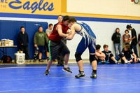 Wrestling DHS 011516-3-3003