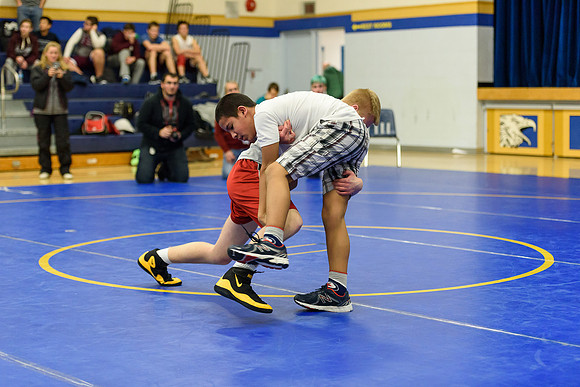 Wrestling DHS 011516-3-4527