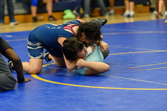 Wrestling DHS 011516-3-4338