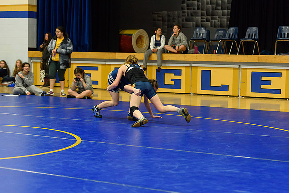 Wrestling DHS 011516-3-4968