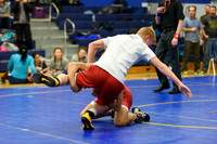 Wrestling DHS 011516-3-2595