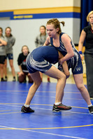 Wrestling DHS 011516-3-3174