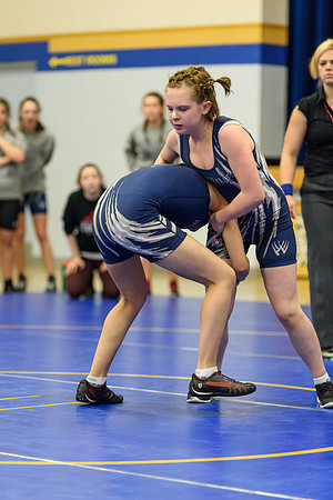 Wrestling DHS 011516-3-3174