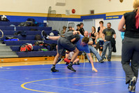 Wrestling DHS 011516-3-2945
