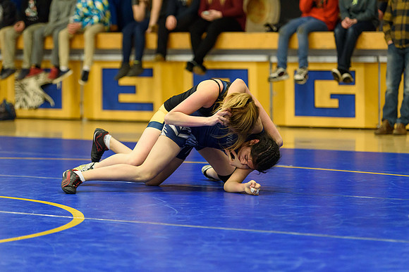 Wrestling DHS 011516-3-4017