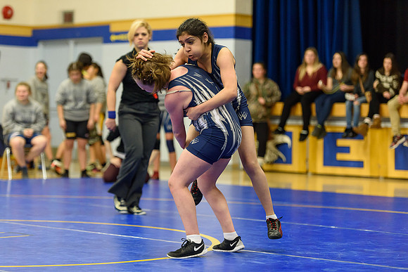 Wrestling DHS 011516-3-3290