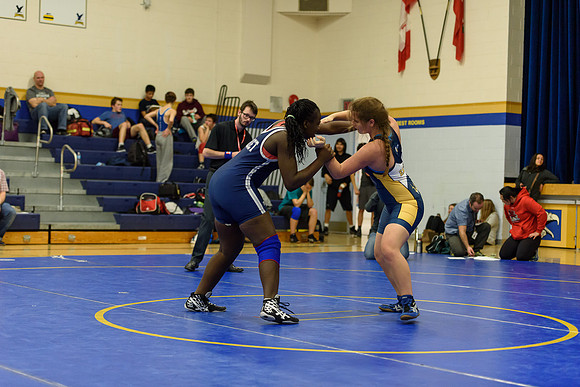 Wrestling DHS 011516-3-5203