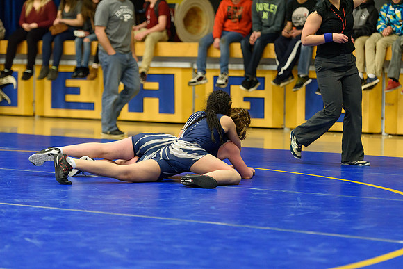 Wrestling DHS 011516-3-3293