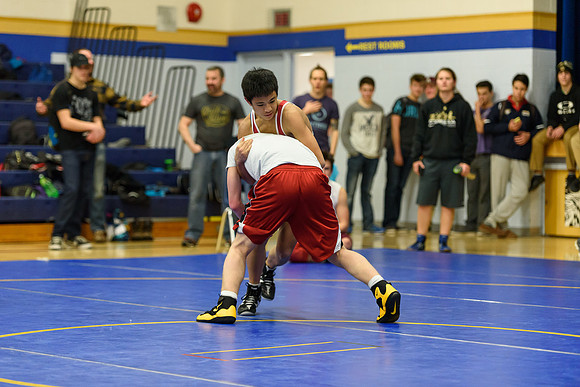 Wrestling DHS 011516-3-2639