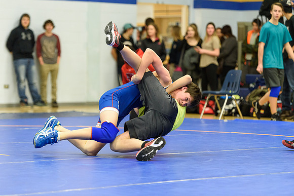 Wrestling DHS 011516-3-2839