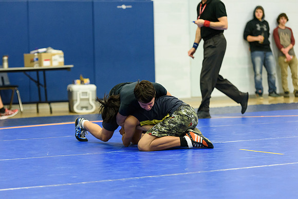 Wrestling DHS 011516-3-3395