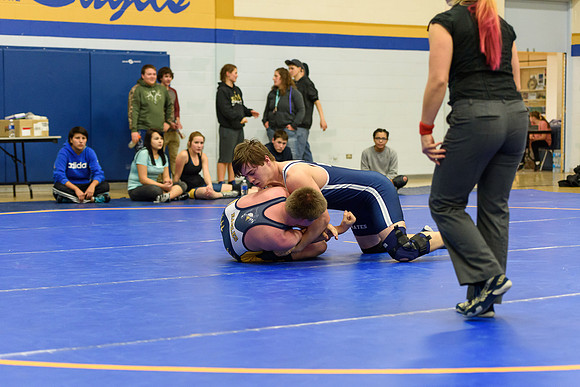 Wrestling DHS 011516-3-3845