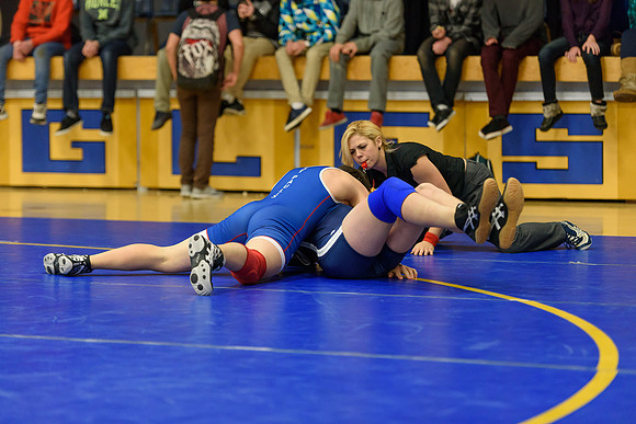 Wrestling DHS 011516-3-3054