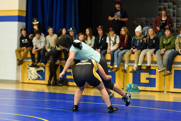 Wrestling DHS 011516-3-2429