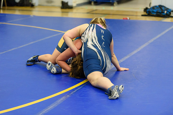 Wrestling DHS 011516-3-5865