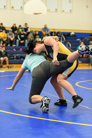 Wrestling DHS 011516-3-2368