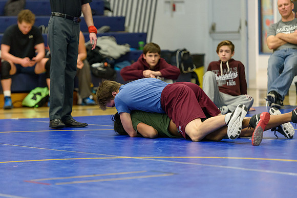 Wrestling DHS 011516-3-3709