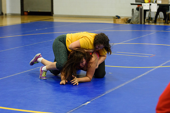 Wrestling DHS 011516-3-5956
