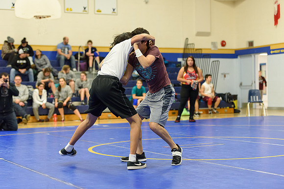Wrestling DHS 011516-3-3624