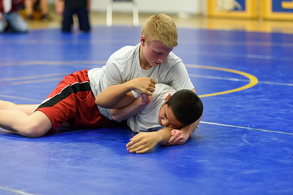 Wrestling DHS 011516-3-4531