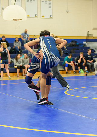 Wrestling DHS 011516-3-4153