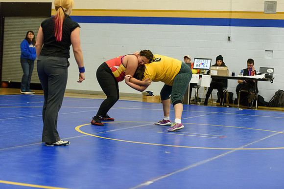 Wrestling DHS 011516-3-5961