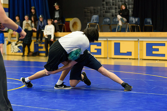 Wrestling DHS 011516-3-2860