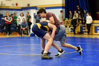 Wrestling DHS 011516-3-2781