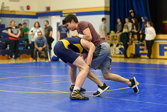 Wrestling DHS 011516-3-2781