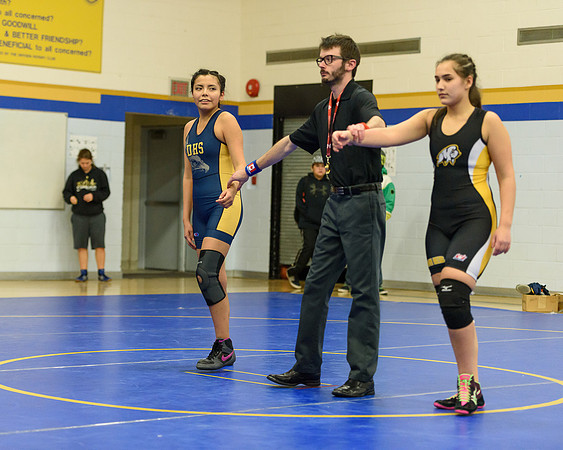 Wrestling DHS 011516-3-5734