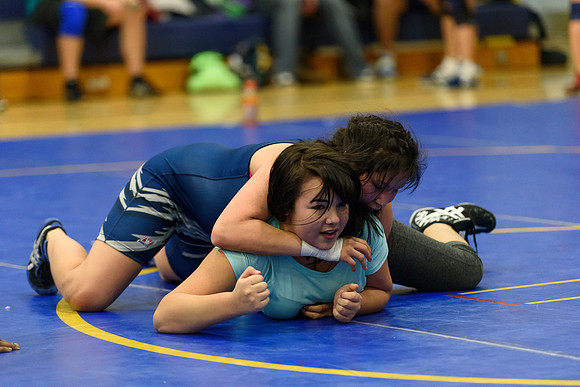 Wrestling DHS 011516-3-4340