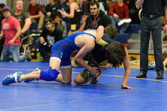 Wrestling DHS 011516-3-4202