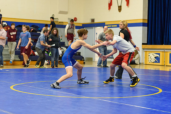 Wrestling DHS 011516-3-5252
