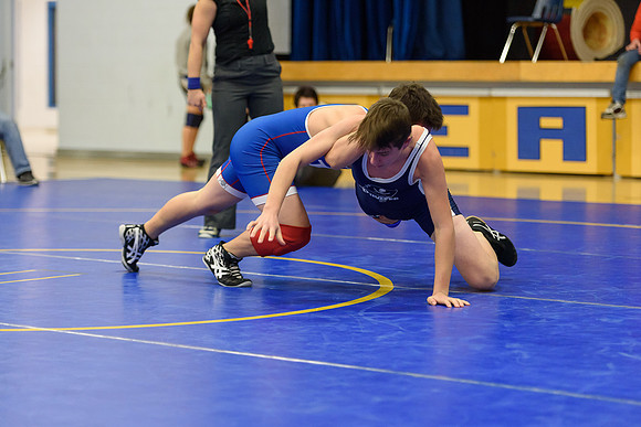 Wrestling DHS 011516-3-3039