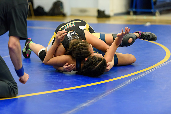 Wrestling DHS 011516-3-5730