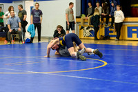Wrestling DHS 011516-3-2786