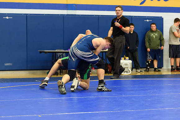 Wrestling DHS 011516-3-2994