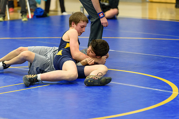 Wrestling DHS 011516-3-2813