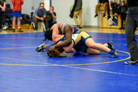 Wrestling DHS 011516-3-2514