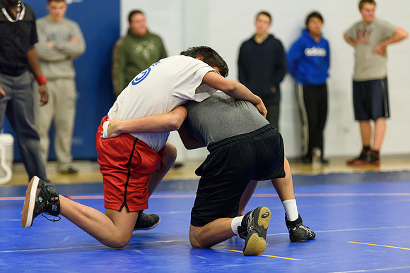 Wrestling DHS 011516-3-2890