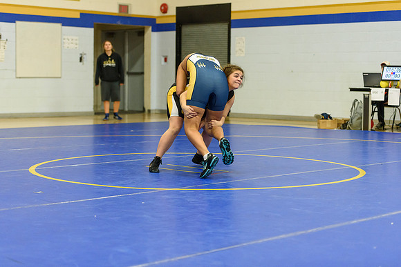 Wrestling DHS 011516-3-5739