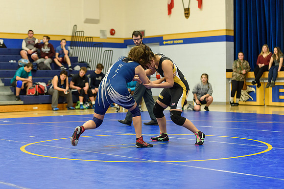 Wrestling DHS 011516-3-3333
