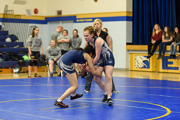 Wrestling DHS 011516-3-3199